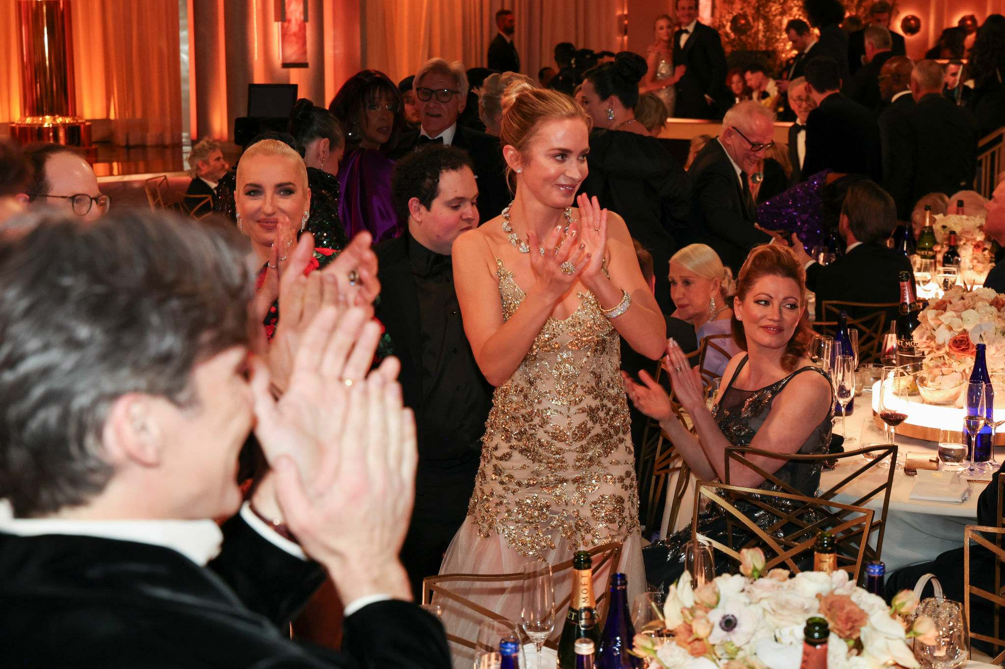 81st_Annual_Golden_Globe_Awards_-_Arrivals12.jpg