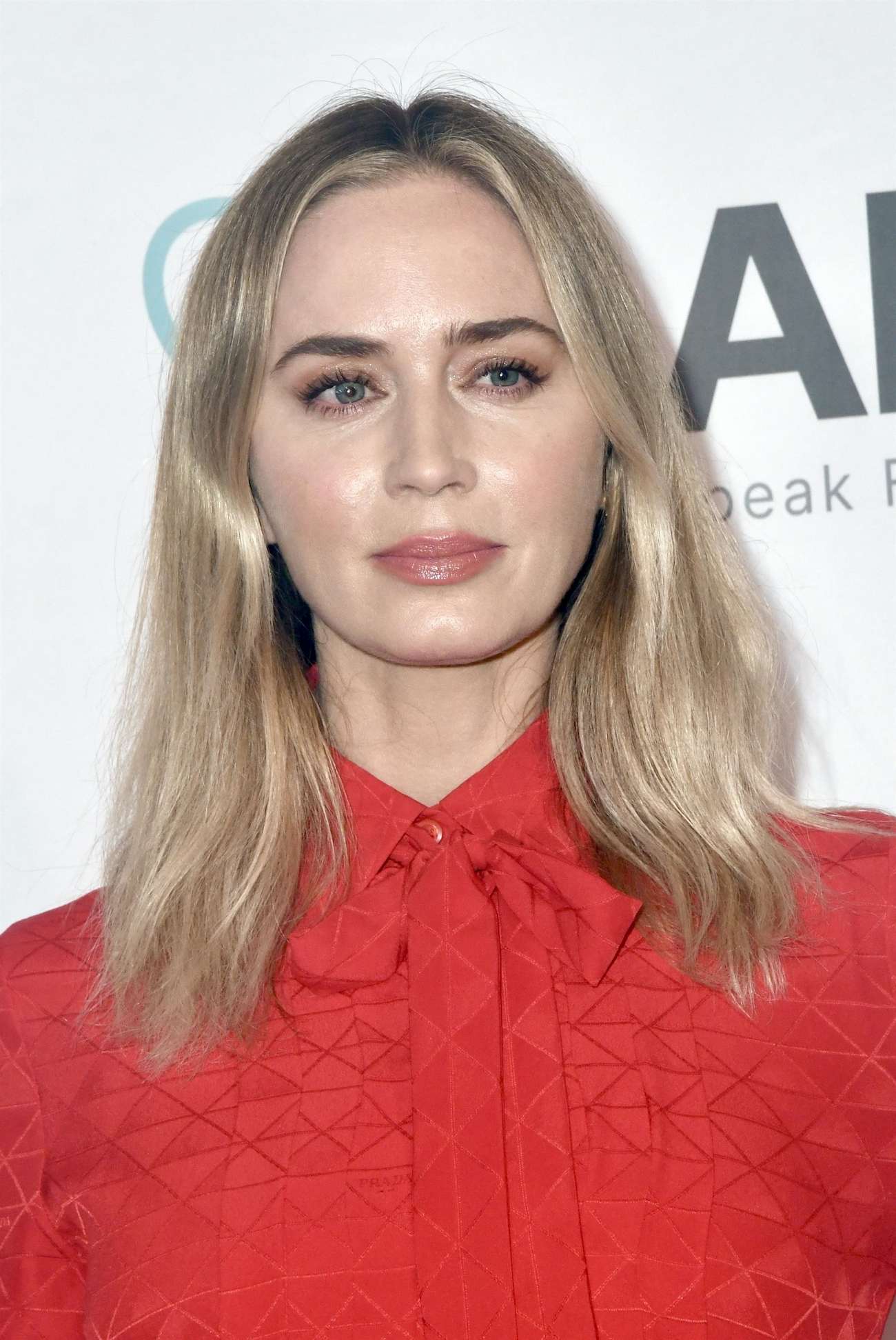 Emily_Blunt_-_American_Institute_For_Stuttering_17th_Annual_Gala_Hosted_By_Emily_Blunt-_June_12th_202309.jpg