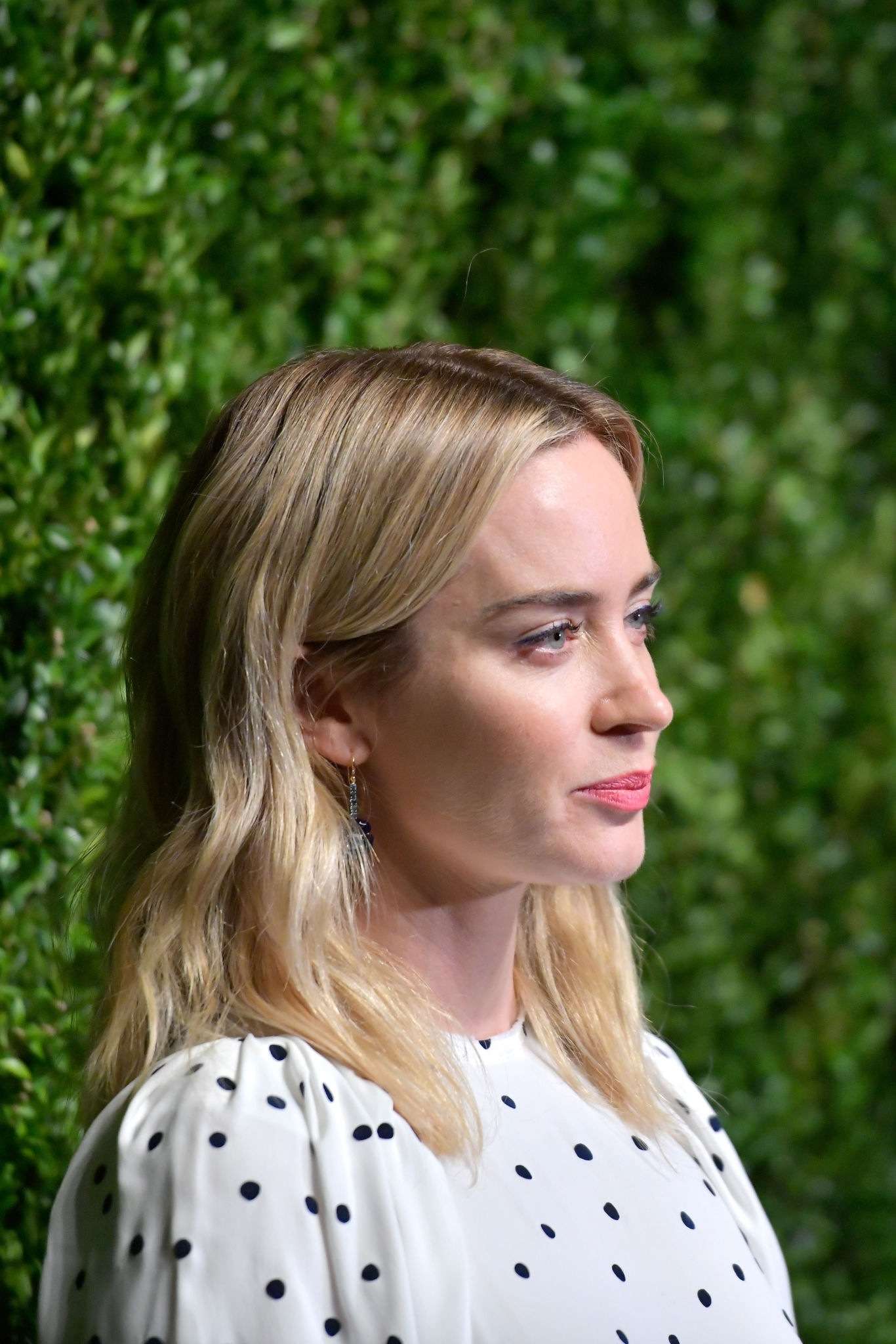 Emily_Blunt_-_CFDAVogue_Fashion_Fund_15th_Anniversary_Event_in_Brooklyn2C_New_York_28November_52C_201829-01.jpg